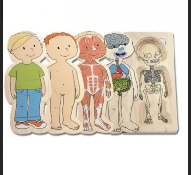 Anatomia omului